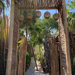 https://chiibal.tulum-hotels.net